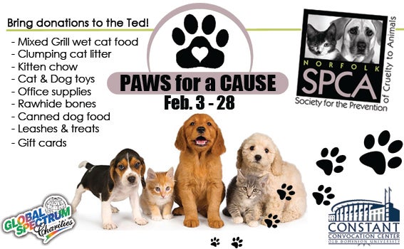 Paws For A Cause Chartway Arena Norfolk Virginia